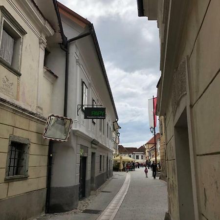 Apartma Linhartov Trg Radovljica Eksteriør billede