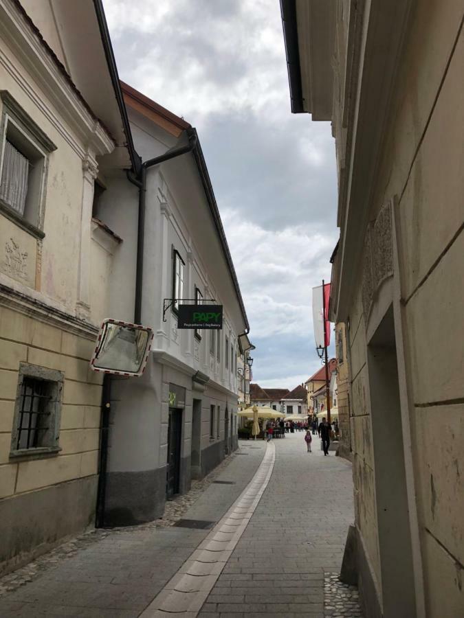 Apartma Linhartov Trg Radovljica Eksteriør billede