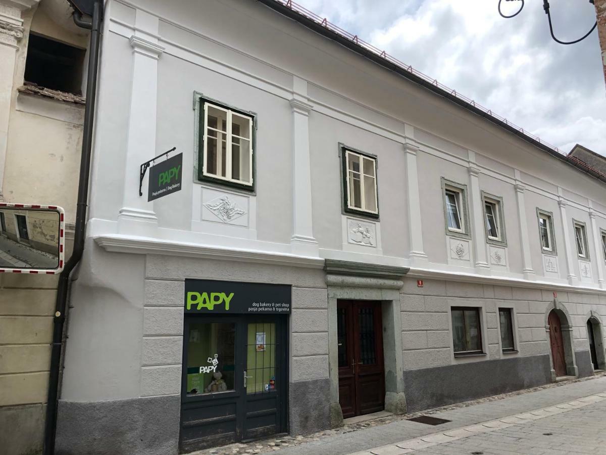 Apartma Linhartov Trg Radovljica Eksteriør billede
